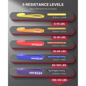 HAPBEAR Resistance Bands with accessories for home workout