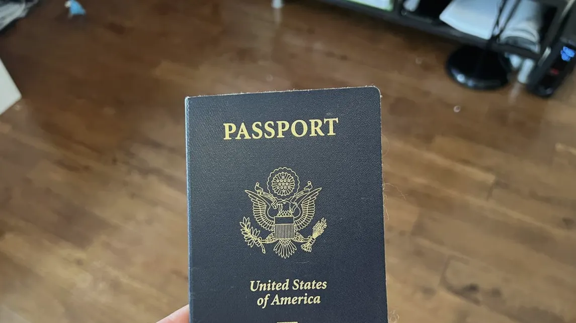 Best Long-Distance Running Shoes for Travel and Treadmill Days