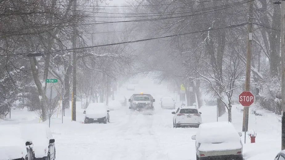 Aesthetics Are Back: Smarter Strength Training for Home Lifters