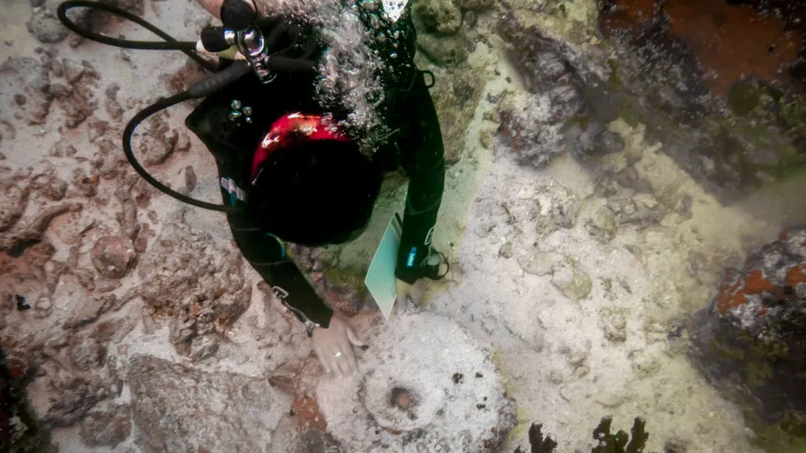 Protein Wins More Than Hype for Home Marathon Training