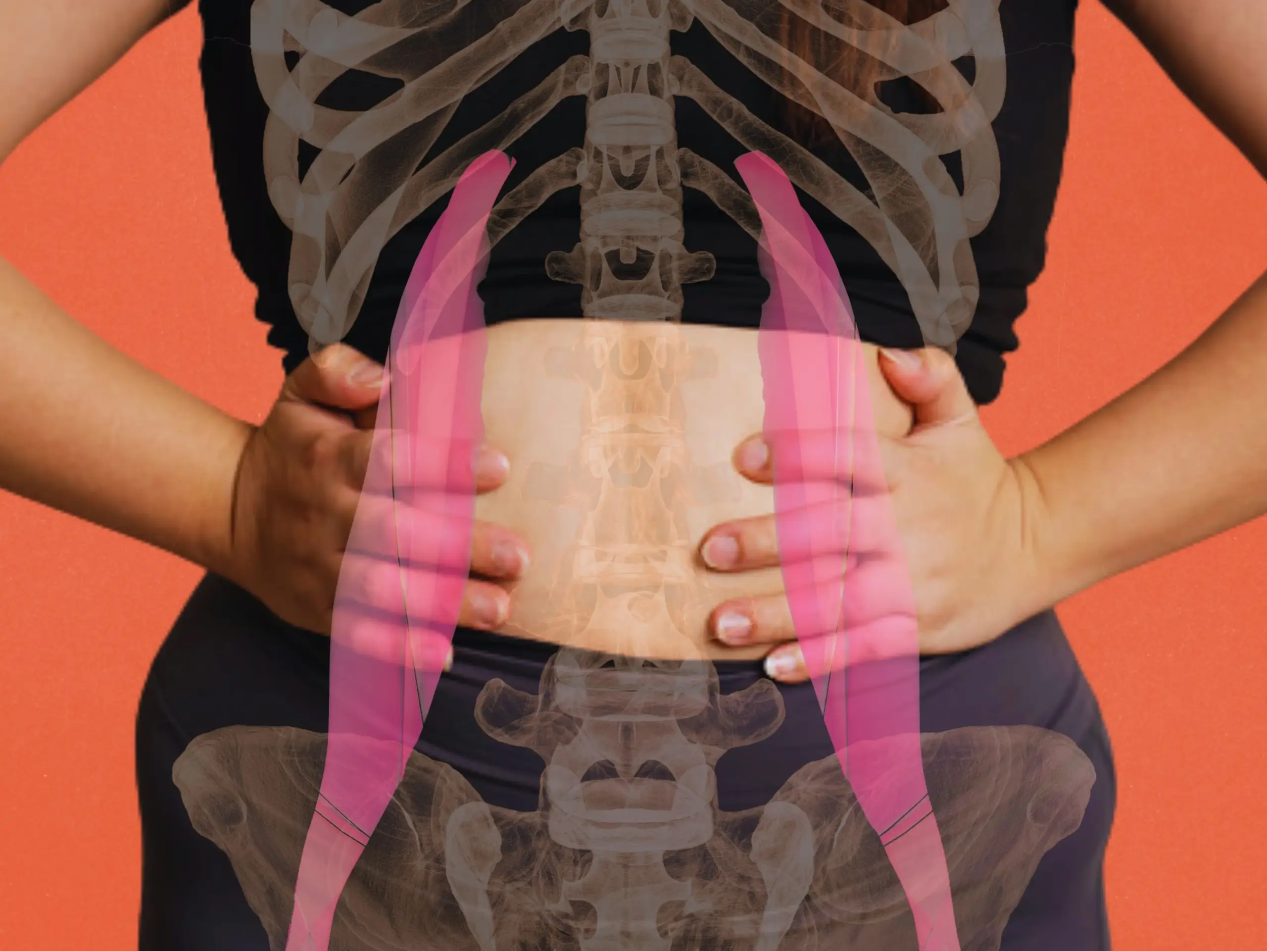 Diastasis Recti Workout Tools: What Actually Helps at Home