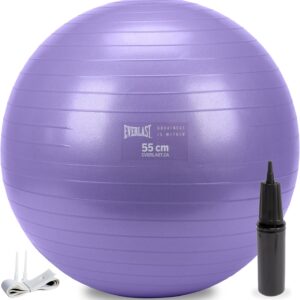 FitGear Stability Ball 65cm Anti-Burst