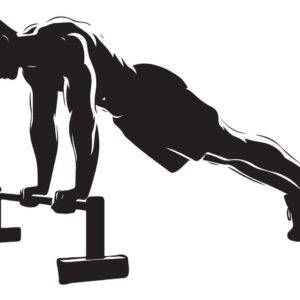 FitGear Parallette Push-Up Board Elevated